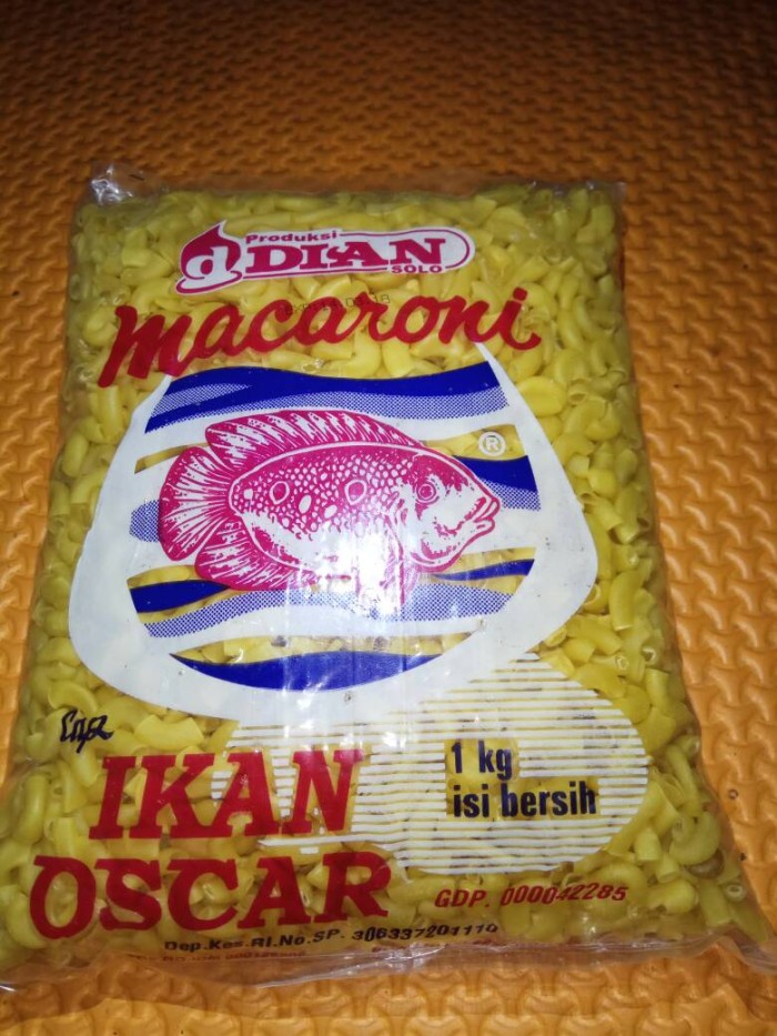 Info Ikan Oscar Travelbon.com Info Ikan Oscar Travelbon.com
