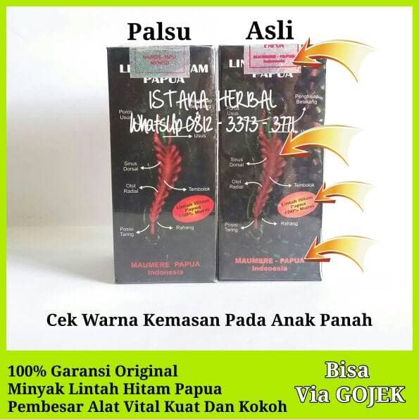 Jual Lintah Hitam Papua Original (Via GOJEK) / Minyak ... Jual wak doyok area pekanbaru - Toko Online Terpercaya ...