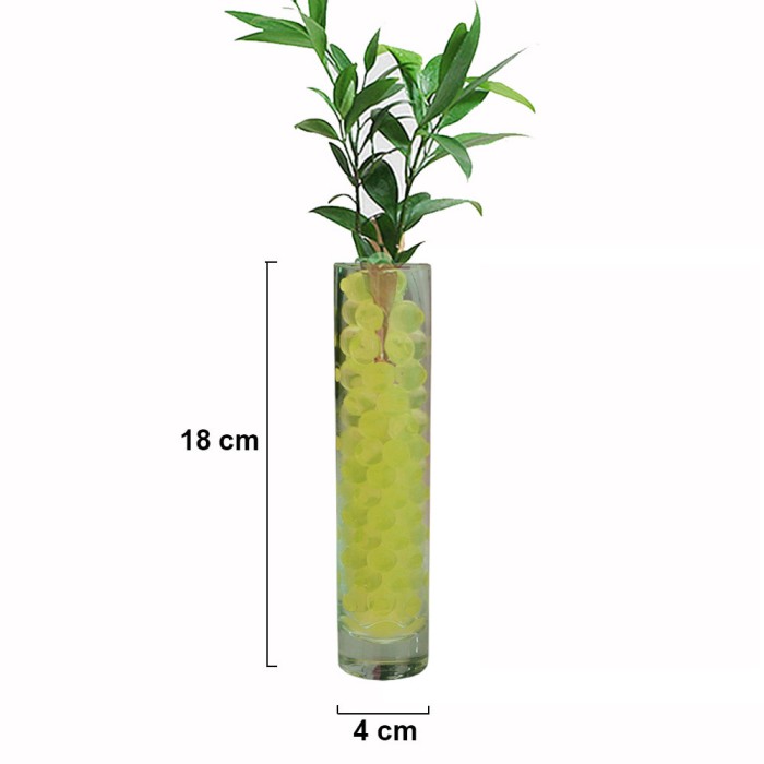 Jirifarm Pot Kaca Hias Ukuran 4x4x18 cm (10404)