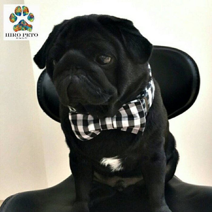 kalung anjing pita kucing dasi hewan dog collar pet bow cat tie martin