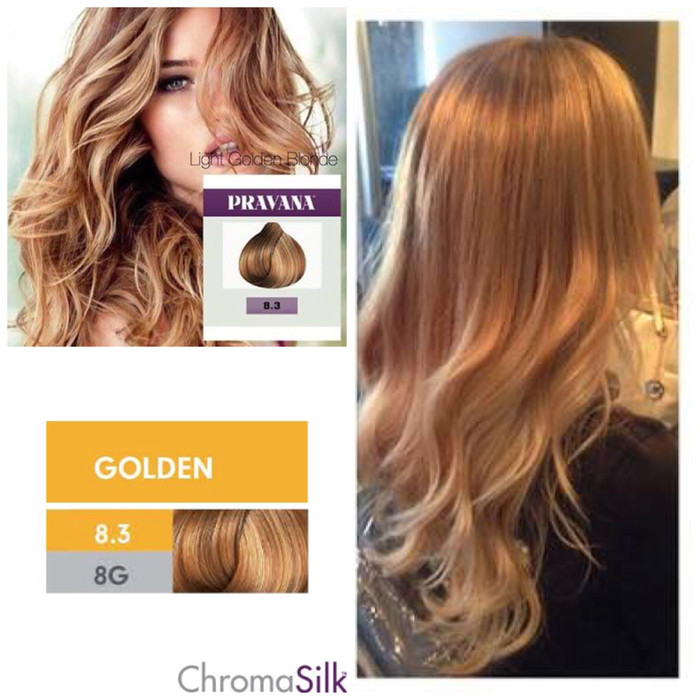 Warna Cat  Rambut  Light Golden Brown