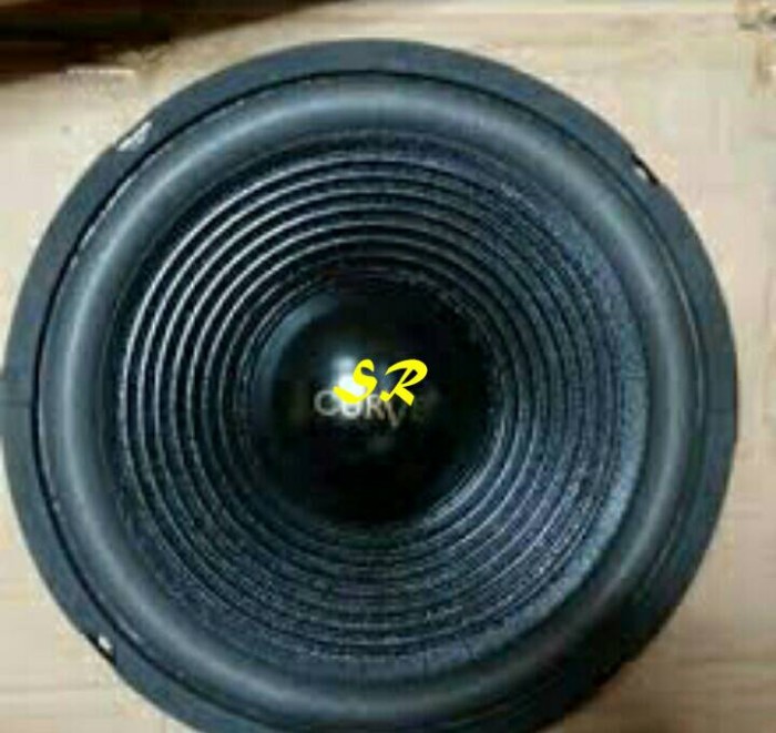 speaker curve 12 inch woofer