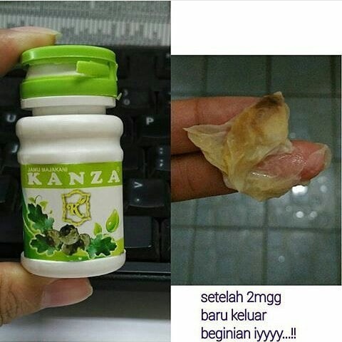 jual majakani kanza manjakani kanza aceh jual majakani kanza manjakani kanza aceh