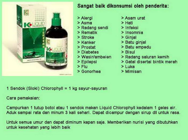 300 Gambar Daun Alfalfa HD Terbaik 300 Gambar Daun Alfalfa HD Terbaik