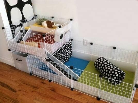 jual c c cage grid konektor kandang kura kura darat marmut guinea pig guinea pig marmut shop jual c c cage grid konektor kandang kura kura darat marmut guinea pig guinea pig marmut shop