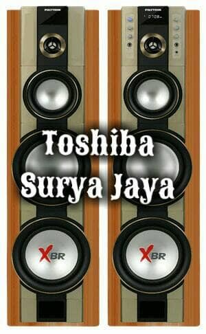 POLYTRON PAS 79 Speaker Aktif via Bluetooth
