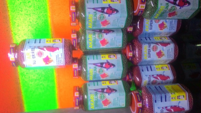 Katalog Ikan Mas Koki Travelbon.com Katalog Ikan Mas Koki Travelbon.com