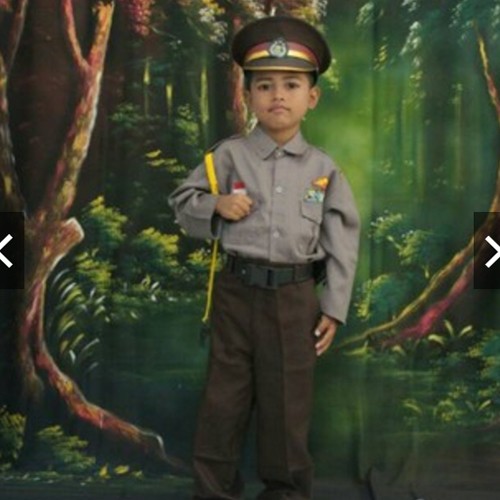 Baju Karnaval Profesi Anak Setelan Komplit TNI AD AL AU Polisi Lengkap