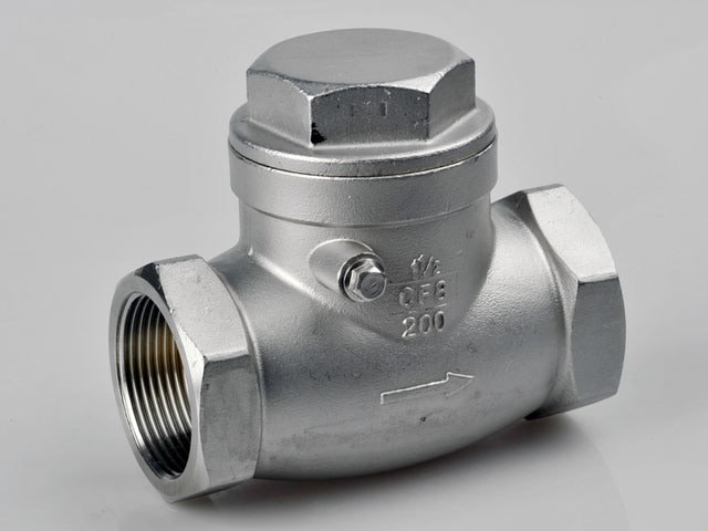 Check Valve Drat Stainless Steel 316 4 Inch