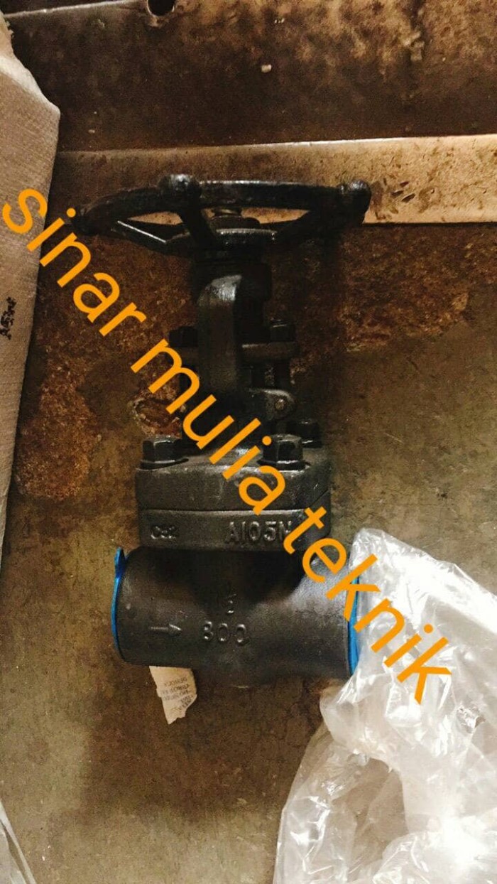 Globe Valve Forged Carbon Steel Class 800 1 1/2 Inch