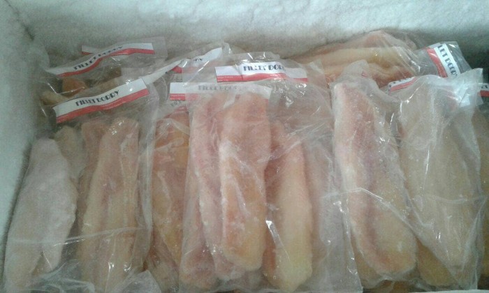 jual fillet ikan dori beku lokal grade a jh frozen foods jual fillet ikan dori beku lokal grade a jh frozen foods
