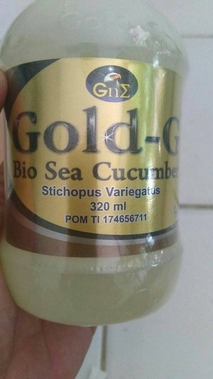 Harga Gold Sea Cucumber DaftarHarga.Pw Harga Gold Sea Cucumber DaftarHarga.Pw