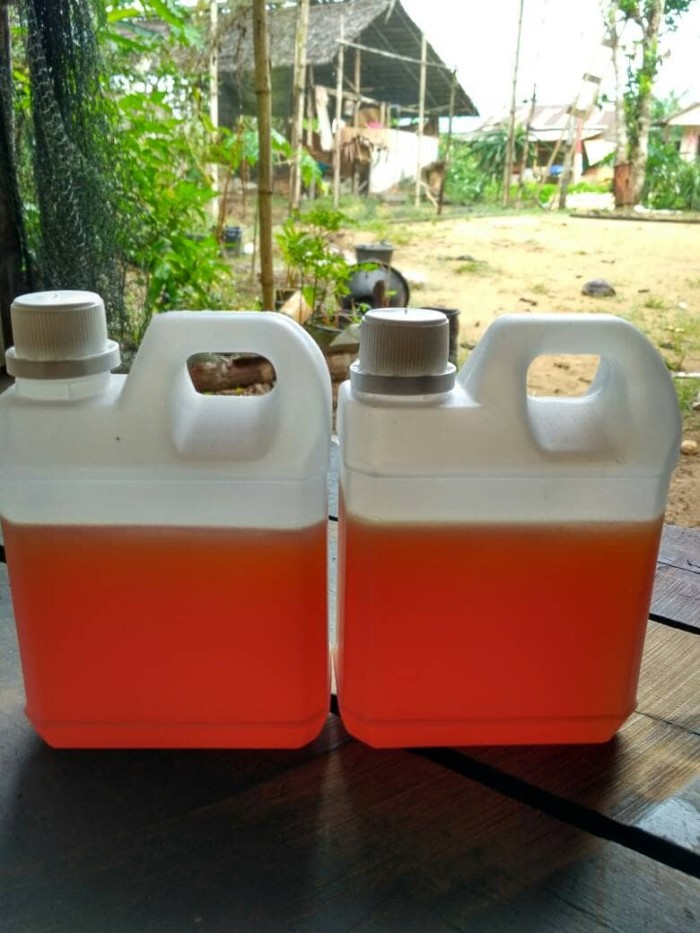 Harga Madu Kelulut Travelbon.com Harga Madu Kelulut Travelbon.com