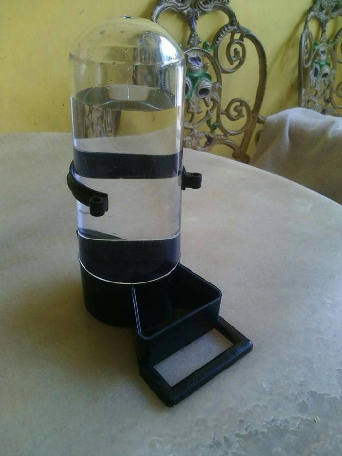 jual botol galon tempat makan minum burung dispenser jumbo jual botol galon tempat makan minum burung dispenser jumbo