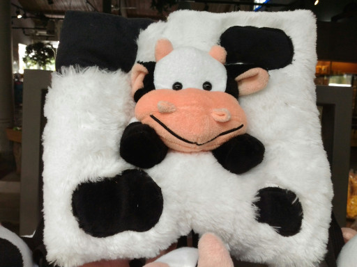 Jual Bantal Sofa Sapi Cimory - Sapi Nyungsep - Kota