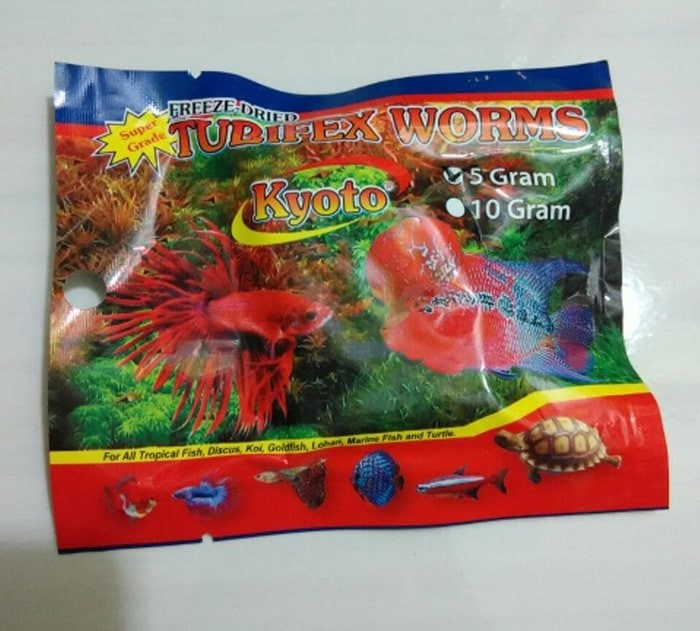 Info Ikan Discus Hargano.com Info Ikan Discus Hargano.com