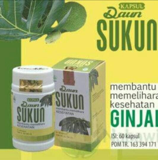 manfaat daun sukun bagi penderita diabetes mellitus