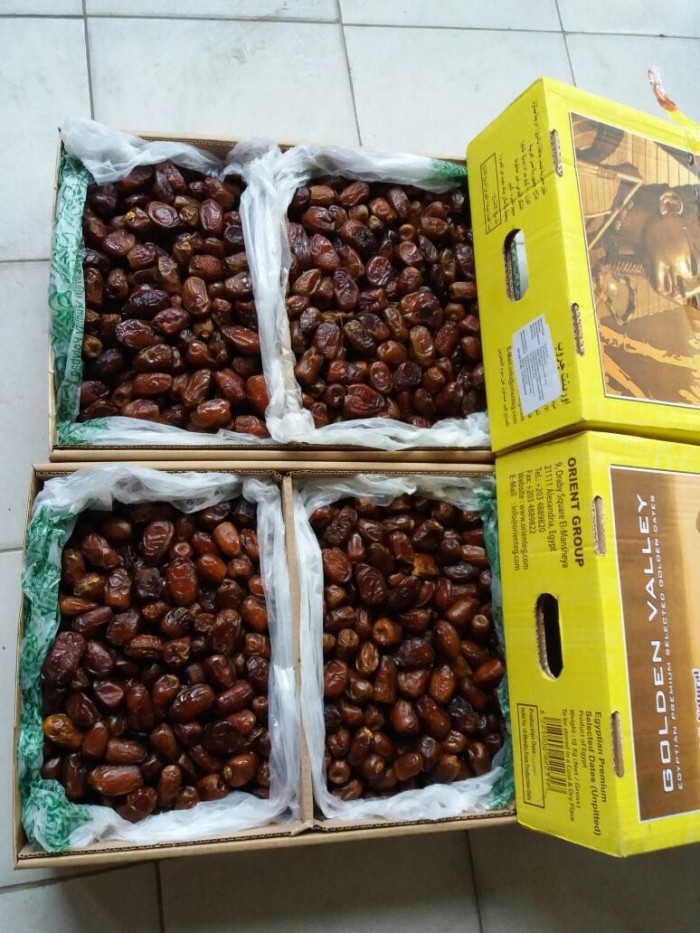 Kurma Mesir / egypt Golden Valley 10kg