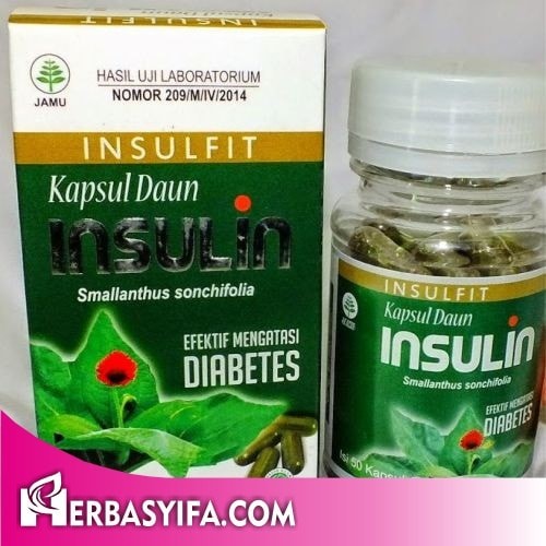 daun insulin untuk obat diabetes kolagit