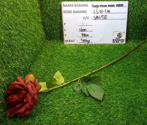 Info 1 Tangkai Bunga Mawar DaftarHarga.Pw Info 1 Tangkai Bunga Mawar DaftarHarga.Pw