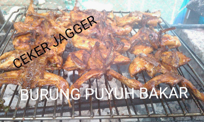Jual Burung Puyuh Bakar Kota Depok Ceker Jagger Tokopedia
