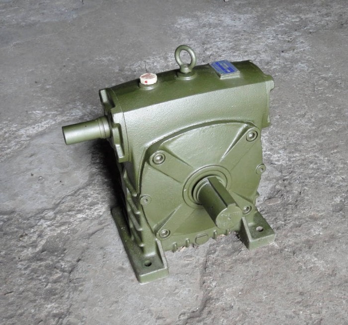 Jual CHENTA Worm Gear Speed Reducer BSS135, Ratio 160 Kota Makassar