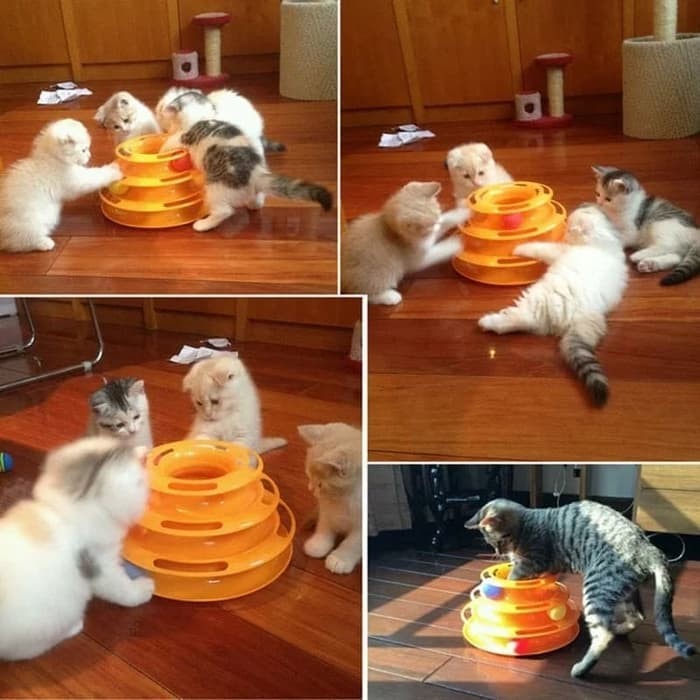 Mainan Untuk Kucing Pet Toys Menara 3 Tingkat Ada Bola