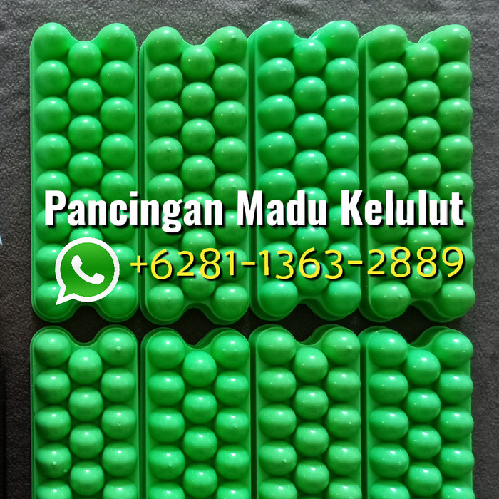Katalog Madu Kelulut Travelbon.com Katalog Madu Kelulut Travelbon.com