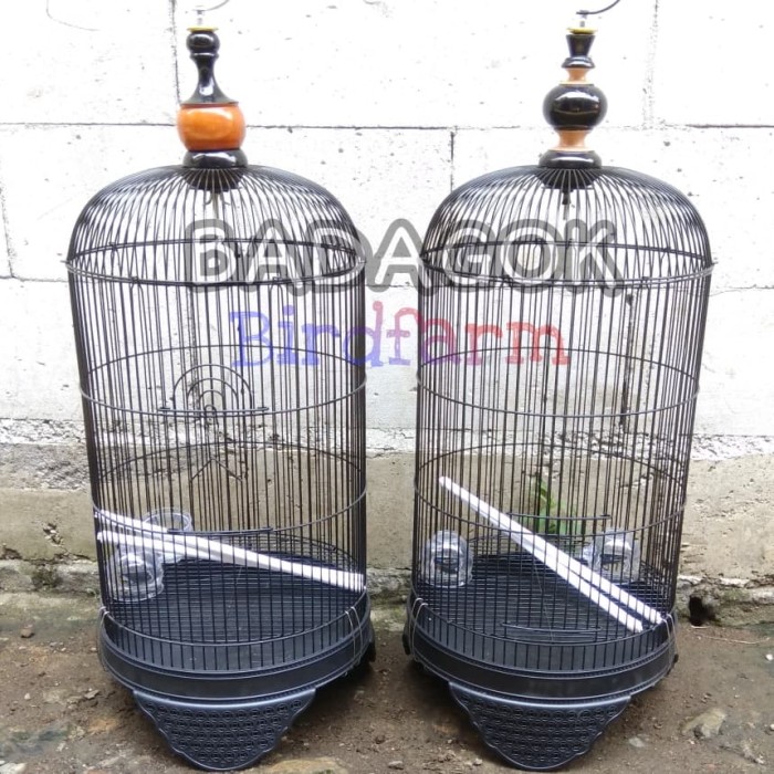 Harga Kandang Burung Kolibri Tentang Kolam Kandang Ternak