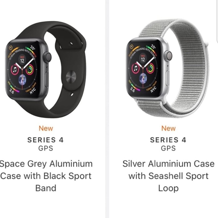 seashell sport loop band