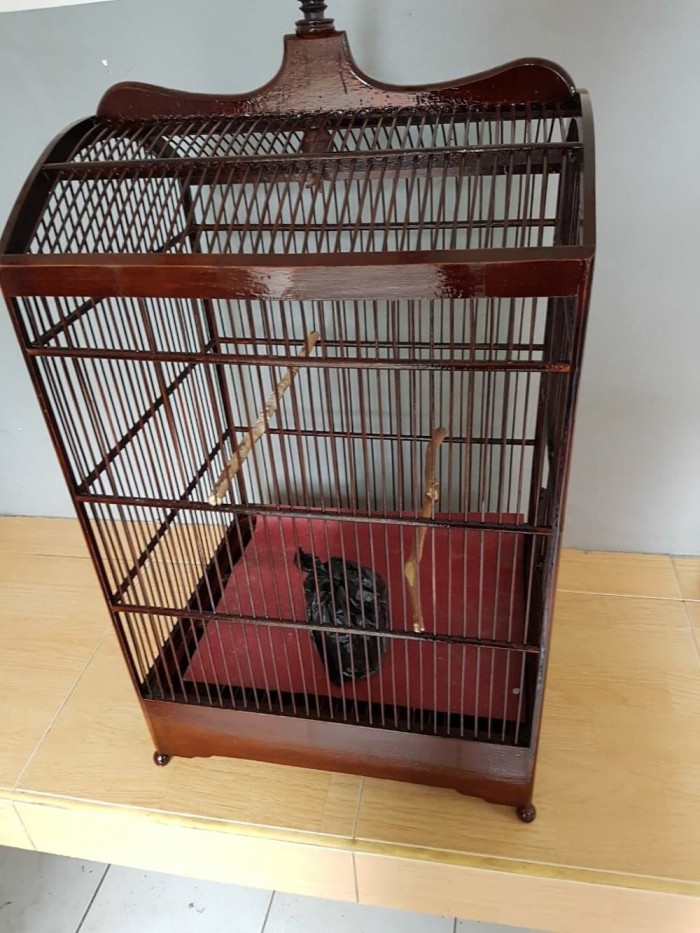 Jual Kandang Sangkar Burung Rplika Ebod Jati Uk No 2 Jakarta