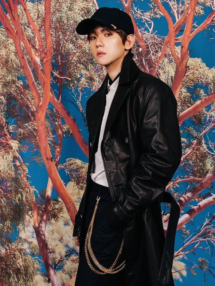 EXO 5th Album DON/'T MESS UP MY TEMPO Baekhyun Type-C Photo Card K-POP 31 40