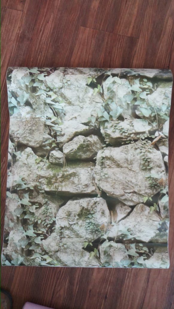 Unduh 100+ Wallpaper Alam Daun Gratis Unduh 100+ Wallpaper Alam Daun Gratis