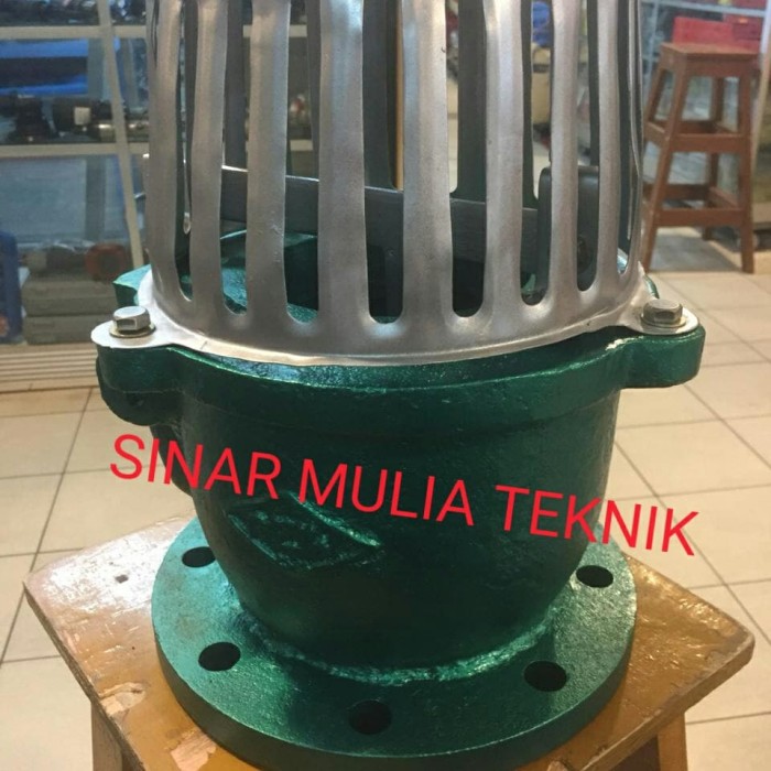 Foot Valve Mizu Cast Iron JIS 10K 2 1/2 Inch 