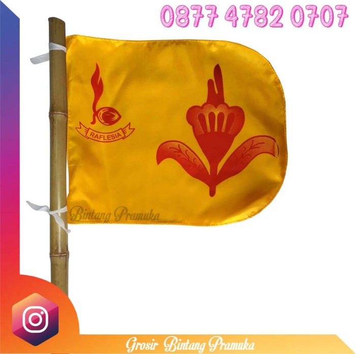 Wow 21+ Gambar Pramuka Bunga Raflesia - Koleksi Bunga HD