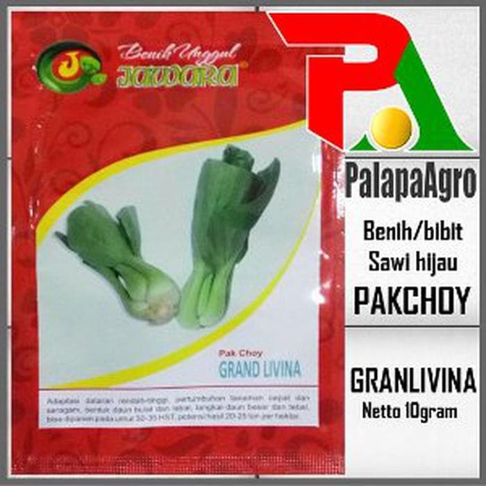 Benih Sawi Pakchoy GrandLivina- Bibit pakcoy-sawi