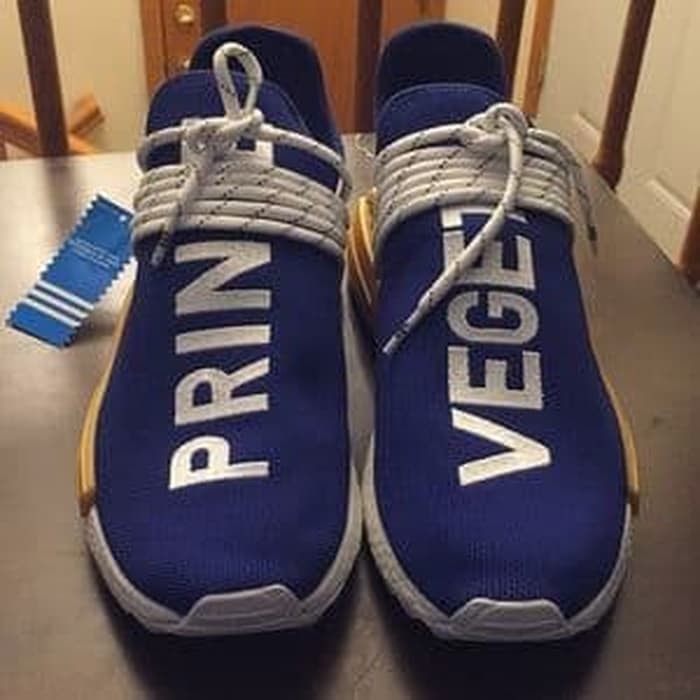 human race dragon ball