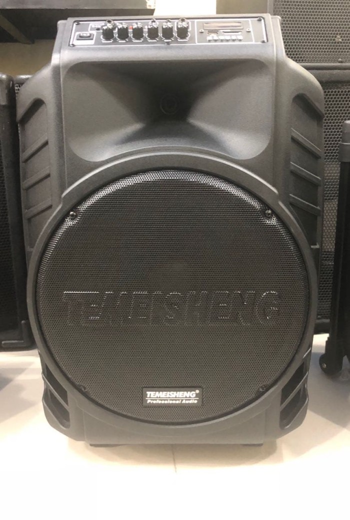 temeisheng speaker