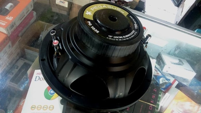 speaker 10 inch 150 watt