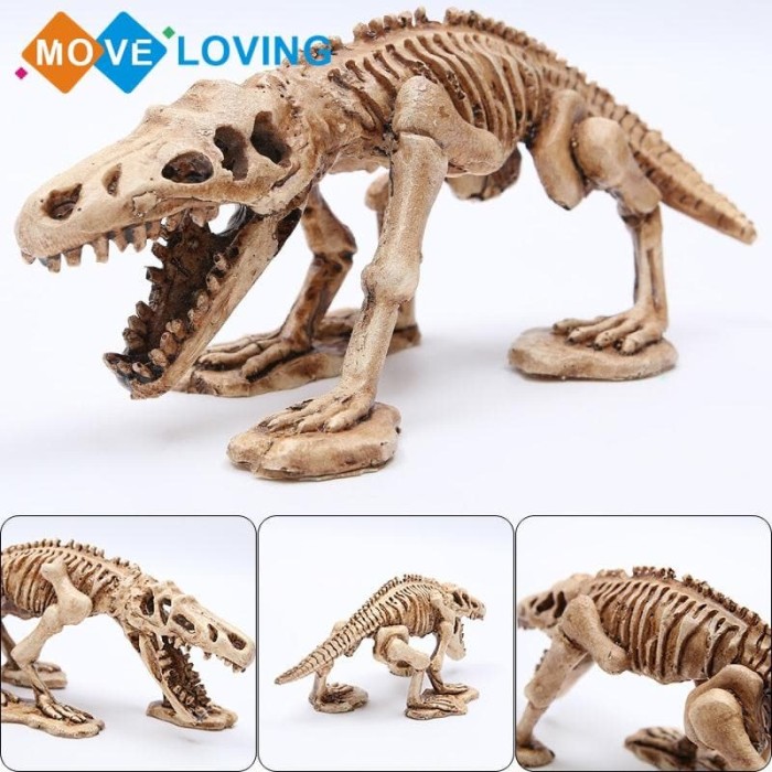 101+ Gambar Tengkorak Dinosaurus 101+ Gambar Tengkorak Dinosaurus
