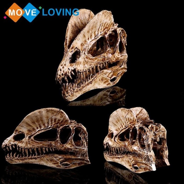 101+ Gambar Tengkorak Dinosaurus 101+ Gambar Tengkorak Dinosaurus