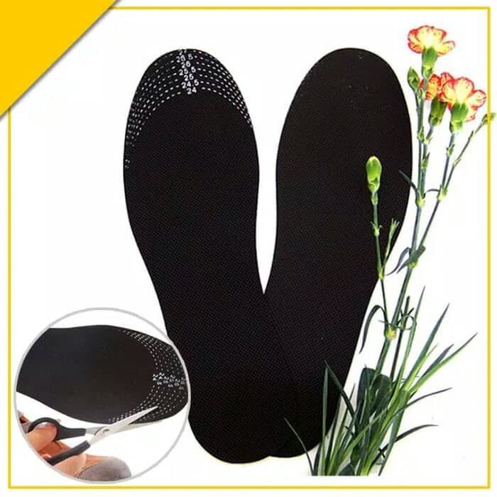 Sol Sepatu Arang Penghilang Bau