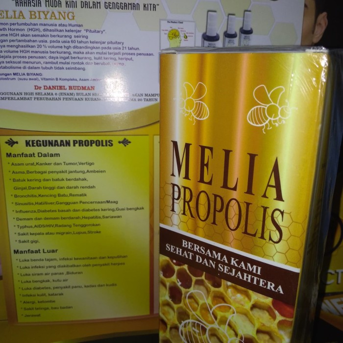 Kegunaan propolis Untuk diabetes