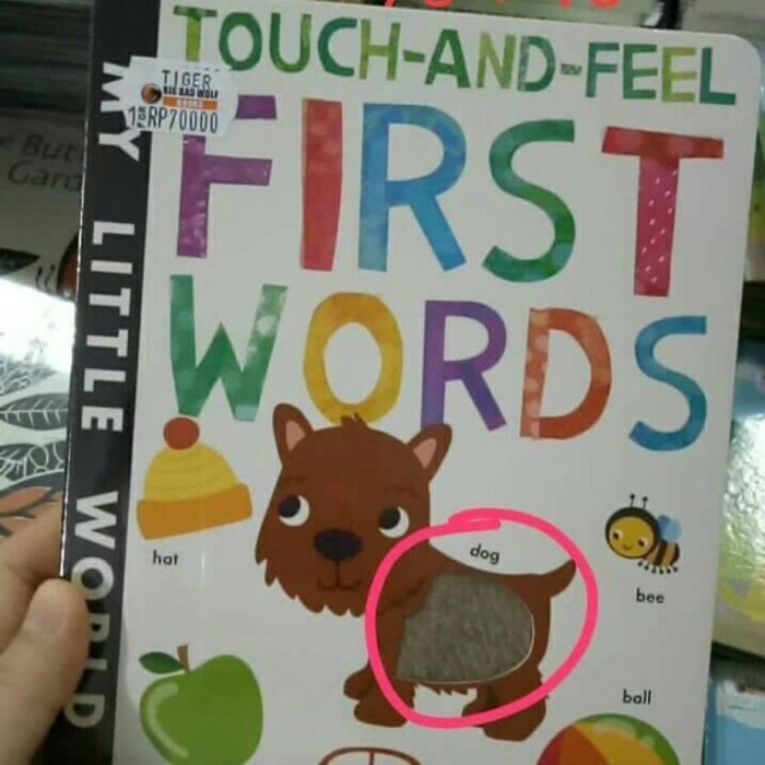 touch and feel first words