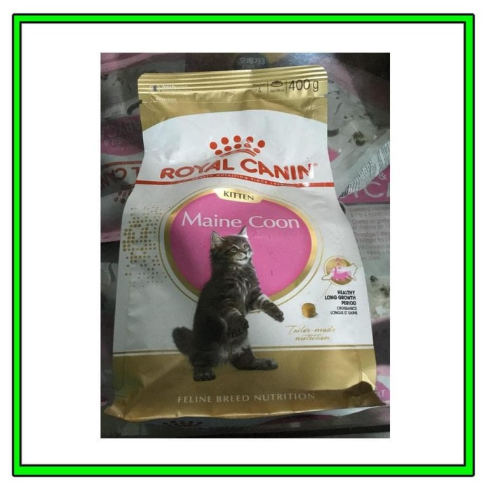 Katalog Maine Coon Travelbon.com Katalog Maine Coon Travelbon.com
