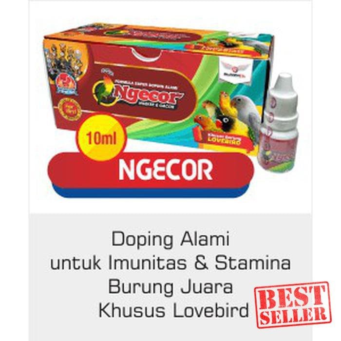 Info Suara Burung Gacor Travelbon.com Info Suara Burung Gacor Travelbon.com