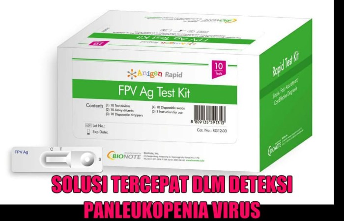 Foto Produk Anigen Rapid FPV Ag (Feline Panleukopenia Antigen) Test Kit dari KITTY & ME