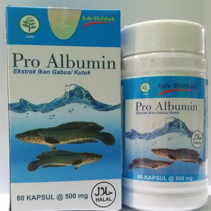 PRO ALBUMIN ASH-SHIHHAH/ Kapsul Ikan Gabus Pro Albumin