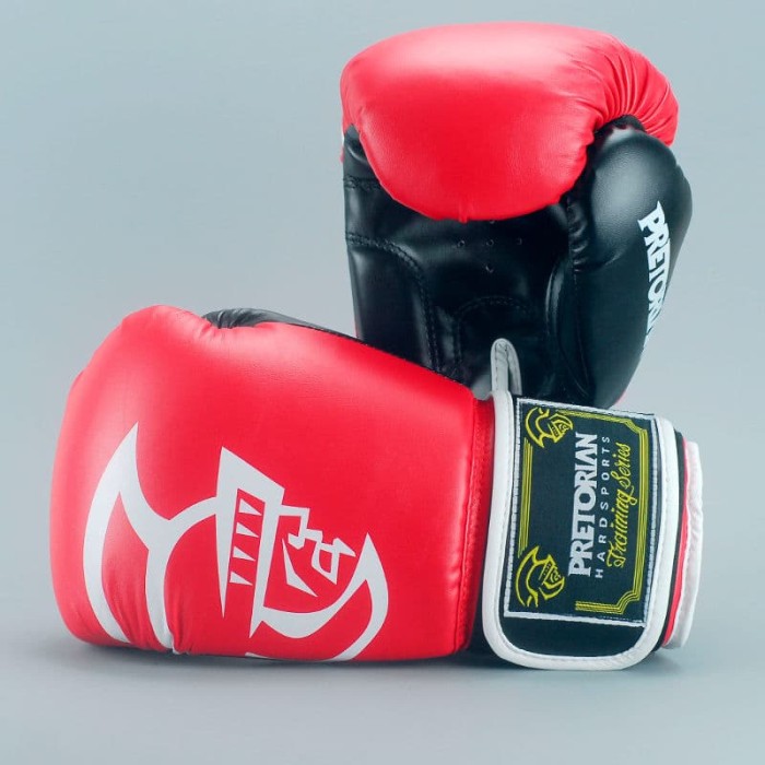 Punching Gloves and Fitness Training Red/&Black 1 Pair of 12oz Adult Boxing