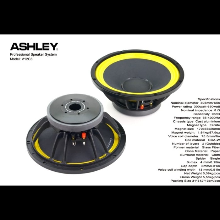 12 300 watt speaker